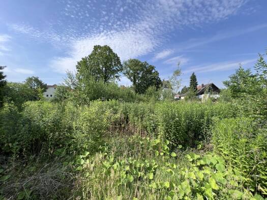 Grundstück zum Kauf 450.000 € 2.992 m² Grundstück Bad Nenndorf 31555