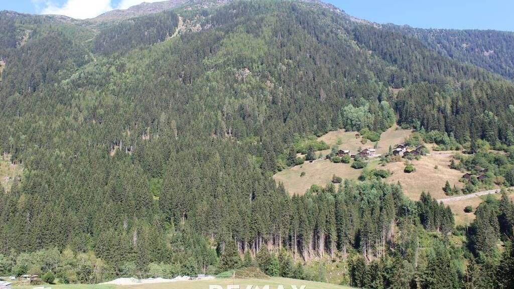 Grundstück zum Kauf 76.000 € 381 m² Grundstück Kappl 6555