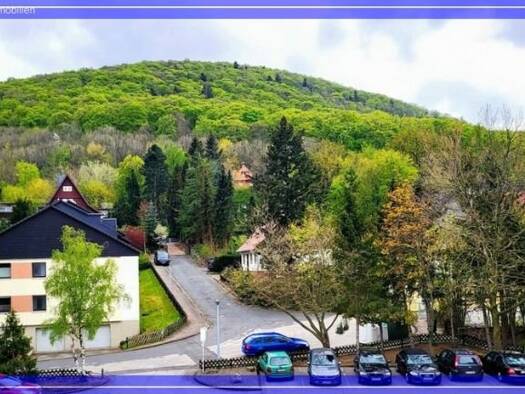 Wohnung zum Kauf 79.900 € 2 Zimmer 57,6 m² 1. Geschoss Bad Harzburg Bad Harzburg 38667