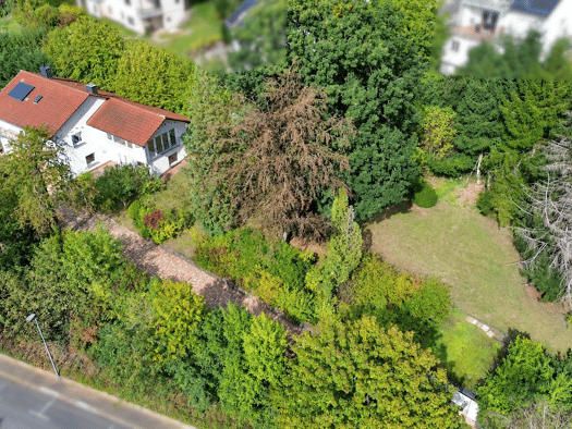 Einfamilienhaus zum Kauf 845.000 € 7 Zimmer 209 m² 1.703 m² Grundstück Wehrshausen Marburg 35041