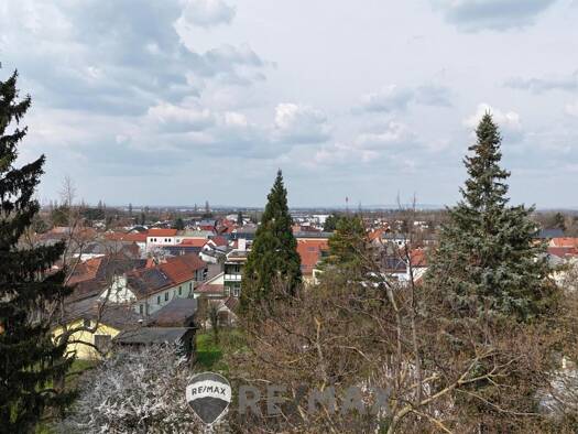 Grundstück zum Kauf 299.000 € 901 m² Grundstück Königstetten 3433