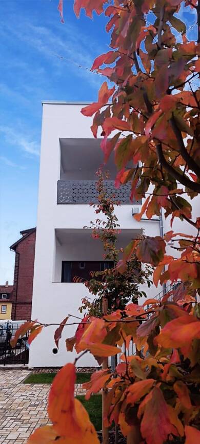 Wohnung zum Kauf provisionsfrei 365.000 € 3 Zimmer 108 m² EG frei ab sofort Walldürn Walldürn 74731