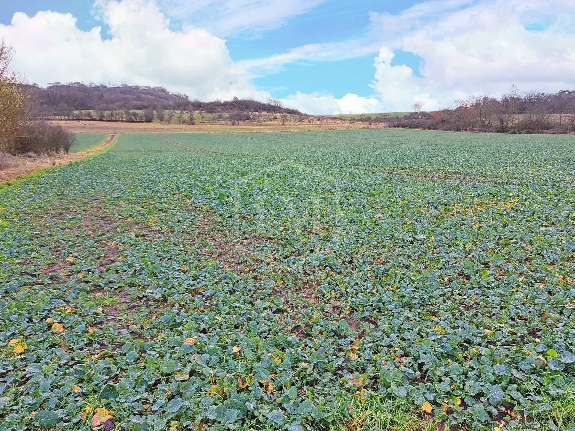 Landwirtschaftliche Fläche zum Kauf 2.600.000 € 692.908 m²<br/>Grundstück Hansenhaus Marburg 35039