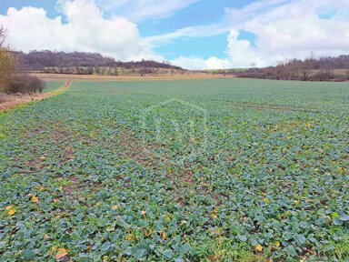 Landwirtschaftliche Fläche zum Kauf 2.600.000 € 692.908 m² Grundstück Marburg Marburg 35039