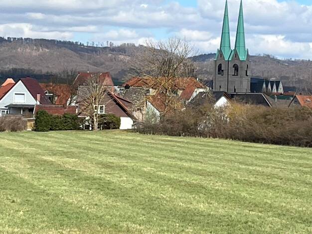Grundstück zum Kauf 350.000 € 11.630 m² Grundstück frei ab sofort Rothesütte Ellrich 99755
