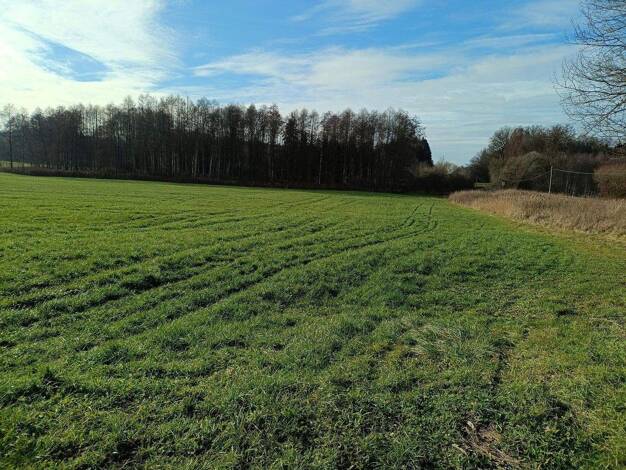 Land-/Forstwirtschaft zum Kauf provisionsfrei 77.000 € 17.465 m² Grundstück Waldweg 1 Blönried 88326
