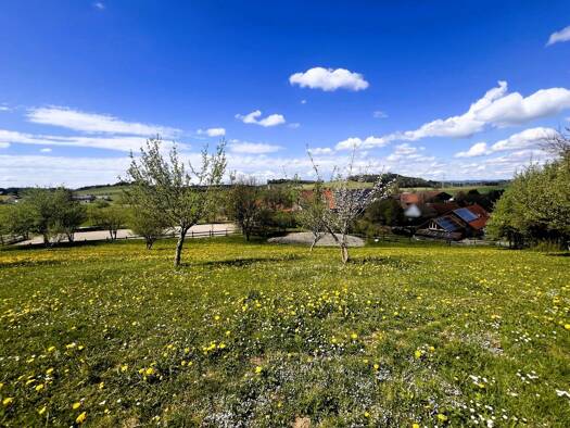 Einfamilienhaus zum Kauf 1.450.000 € 11,5 Zimmer 266 m² 27.000 m² Grundstück Neuravensburg Wangen im Allgäu 88239