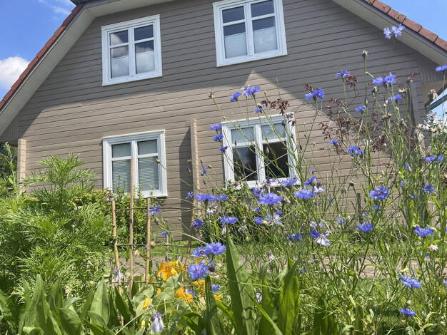 Einfamilienhaus zum Kauf provisionsfrei 559.000 € 5 Zimmer 175 m² 986 m² Grundstück Cashagen Cashagen 23623