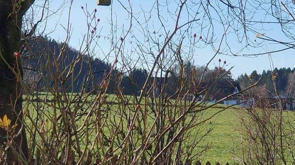 Einfamilienhaus zum Kauf 765.000 € 4 Zimmer 152 m² 500 m² Grundstück frei ab sofort Münster Egmating 85658