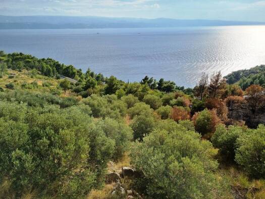 Wohn- und Gewerbegrundstück zum Kauf 1.075.250 € Omiš 21310
