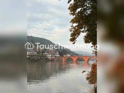 Wohnung zur Miete Tauschwohnung 560 € 1 Zimmer 40 m² Altstadt Heidelberg 69117