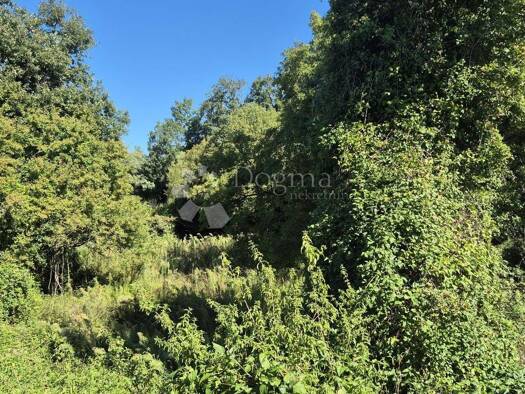 Acker-/Waldstück zum Kauf 31.250 € Cukrići, Svetvinčenat Svetvinčenat 52342