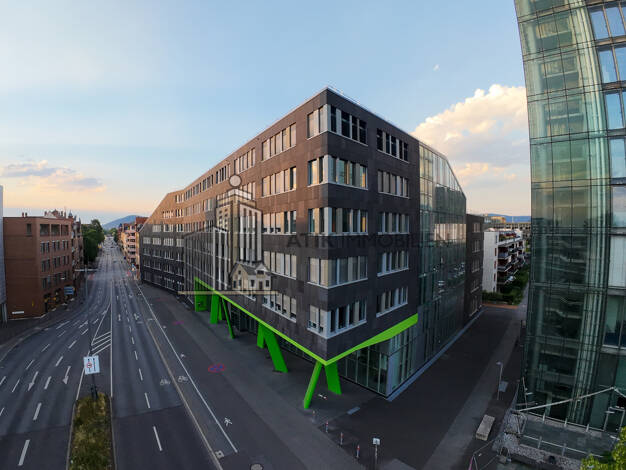 Bürofläche zur Miete provisionsfrei 16,50 € 940 m² Bürofläche teilbar ab 456 m² Bergheim Heidelberg 69115