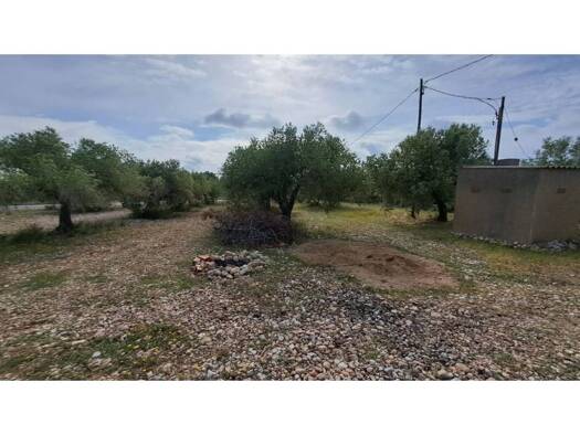 Acker-/Waldstück zum Kauf 65.000 € Mont-roig del Camp 43892