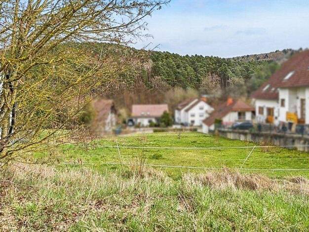 Grundstück zum Kauf 178.500 € 885 m² Grundstück Queidersbach 66851