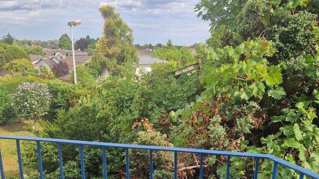 Haus zum Kauf 335.000 € 5 Zimmer 150 m² 100 m² Grundstück frei ab sofort Dirmstein 67246