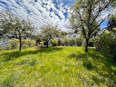 Grundstück zum Kauf 849.000 € 311 m² Grundstück Englschalking München 81929