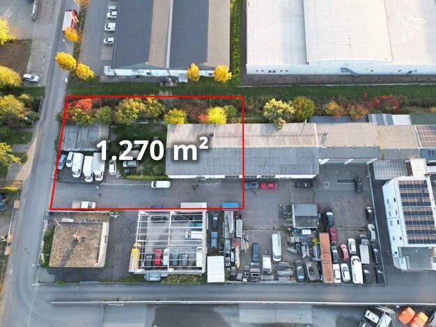 Mehrfamilienhaus zum Kauf 750.000 € 10 Zimmer 300 m² 1.270 m² Grundstück Groß-Zimmern 64846