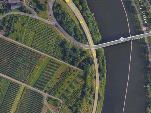 Land-/Forstwirtschaft zum Kauf provisionsfrei 9.900 € 1.173 m² Grundstück Bremm 56814