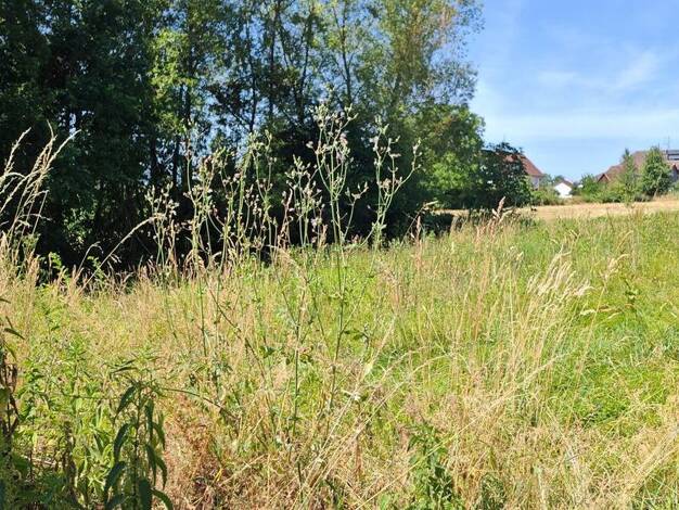 Grundstück zum Kauf 470.000 € 858 m² Grundstück Bitzenhofen Oberteuringen 88094
