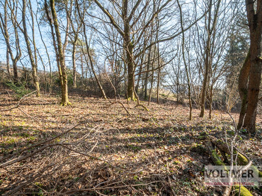 Grundstück zum Kauf 240.000 € 1.907 m² Grundstück Kohlhof Neunkirchen/Saar 66539