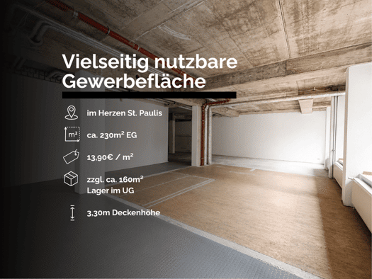 Ladenfläche zur Miete 3.200 € 230 m² Verkaufsfläche Seilerstraße 30 St. Pauli Hamburg 20359