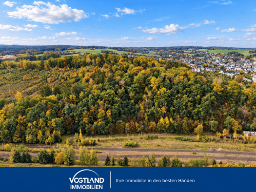 Land-/Forstwirtschaft zum Kauf 63.000 € 38.222 m² Grundstück Lengenfeld Lengenfeld 08485