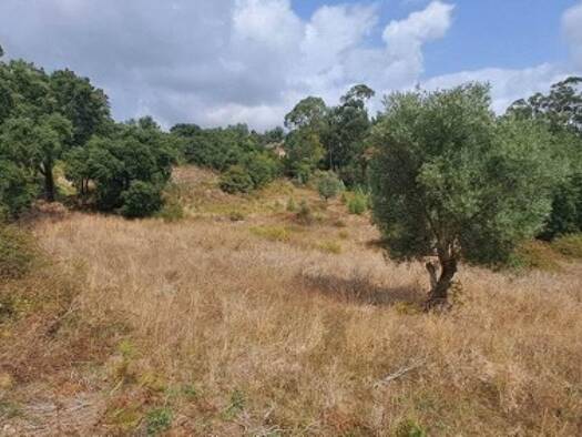 Haus zum Kauf 200.000 € 1 Zimmer 1 m² 16.500 m² Grundstück Loures 2760-351