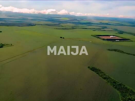 Bauernhof zum Kauf 90.587.200 € 175.310.000 m² Grundstück Hectare Grain Farm Água Boa 78635-000