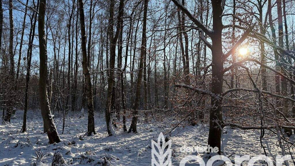 Land-/Forstwirtschaft zum Kauf 4.900 € 6.440 m² Grundstück Balm Mellenthin 17429