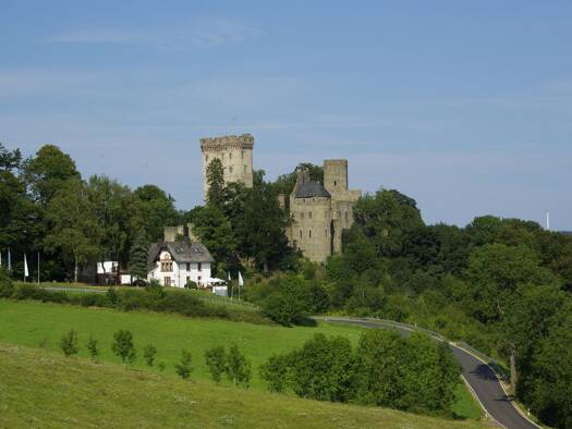 Mehrfamilienhaus zum Kauf 399.000 € 10 Zimmer 440 m² 9.800 m² Grundstück Pelm 54570