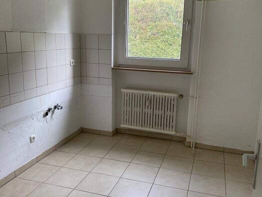 Wohnung zur Miete 389 € 3 Zimmer 58 m² EG Denkmalsweg 4 Gosenbach Siegen 57080