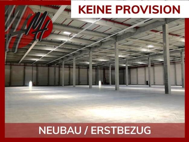 Lagerhalle zur Miete provisionsfrei 30.000 m² Lagerfläche teilbar ab 10.000 m² Gießen 35394