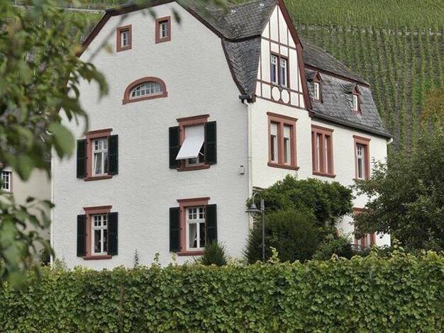 Einfamilienhaus zum Kauf provisionsfrei 950.000 € 9 Zimmer 226 m² 3.169 m² Grundstück Dhron Neumagen-Dhron 54347