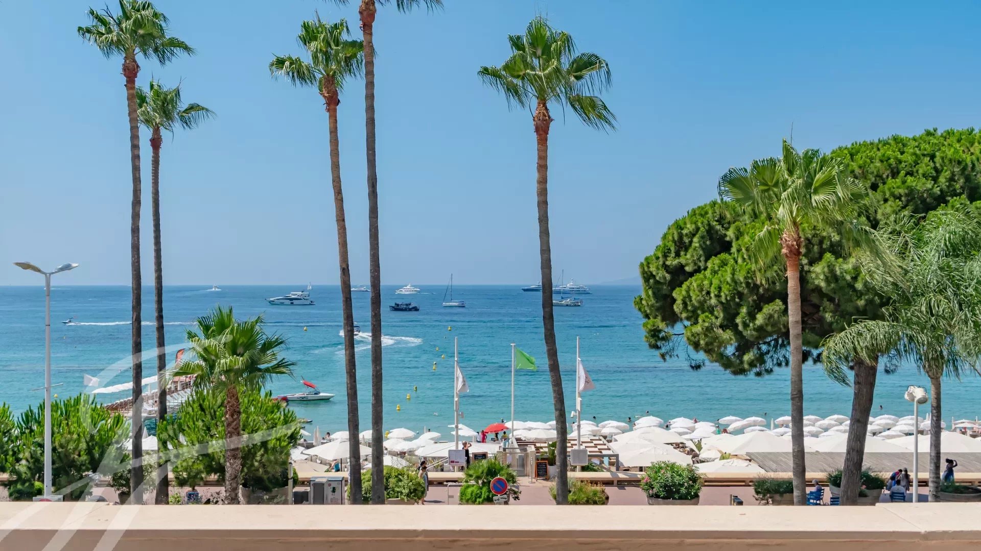 Apartment zum Kauf provisionsfrei 1.875.000 € 2 Zimmer 75 m²<br/>Wohnfläche 1.<br/>Geschoss Croisette-Palm-Beach Cannes 06400