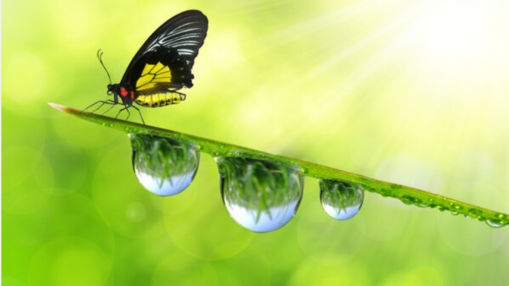 Wohnung zum Kauf provisionsfrei 164.500 € 2 Zimmer 56 m² EG Neuruppin 16816