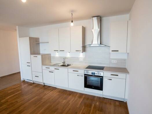 Wohnung zur Miete 1.114 € 4 Zimmer 93,5 m² EG frei ab 01.10.2026 Fels am Wagram 3481