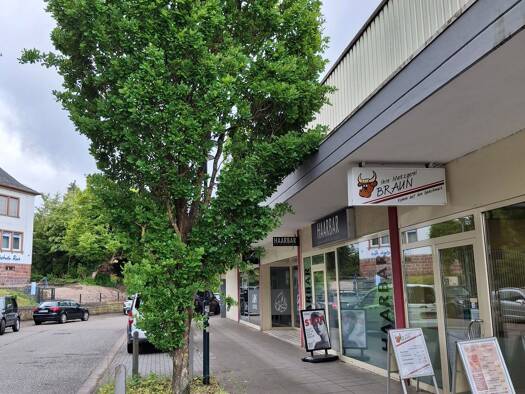 Büro zur Miete provisionsfrei 1.500 € 1 Zimmer 225 m² Bürofläche Kusel Kusel 66869