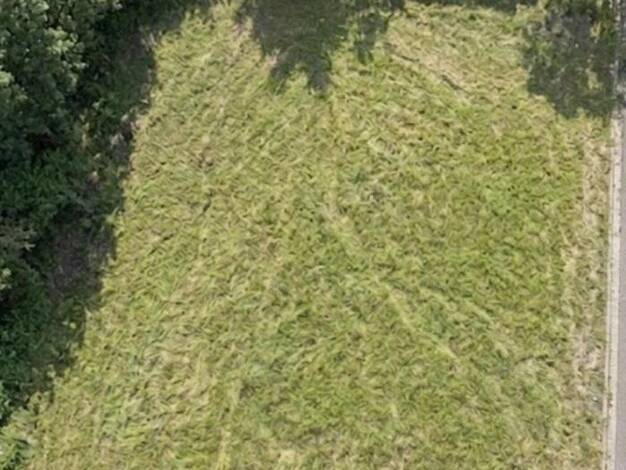 Grundstück zum Kauf provisionsfrei 344.000 € 800 m² Grundstück Sibylla-Weiß-Weg 11 Höchstadt Höchstadt a.d.Aisch 91315