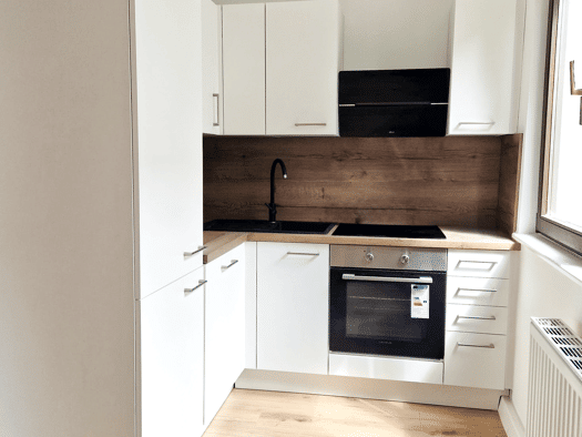 Studio zur Miete 499 € 1 Zimmer 33 m² 1. Geschoss Breslauer Straße 12 Stötteritz Leipzig 04299