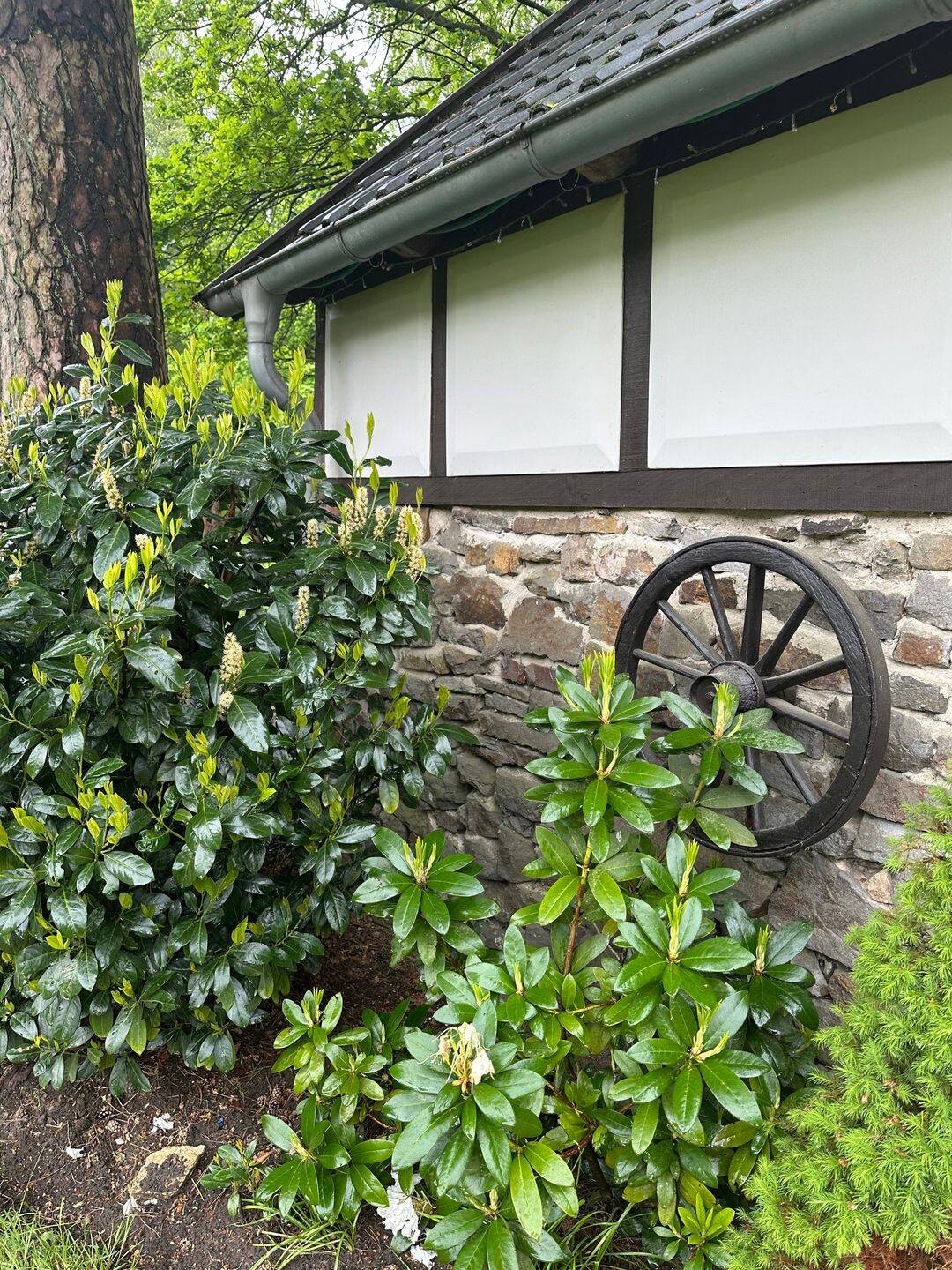 Haus zum Kauf - Ansicht 6