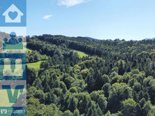 Grundstück zum Kauf 650.000 € 93.040 m² Grundstück Großthal Miesbach 83714