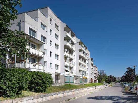 Wohnung zur Miete 250 € 2 Zimmer 41,7 m² 3. Geschoss Gustav-Staude-Straße 18 Silberhöhe Halle (Saale) 06132