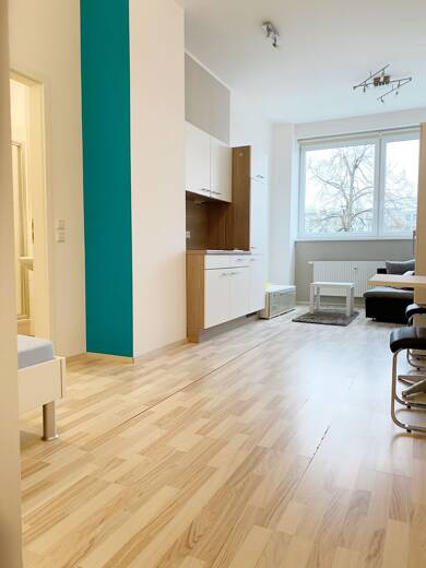 Studio zur Miete 455 € 1 Zimmer 29 m² 2. Geschoss frei ab sofort Karolinenstraße 86 Südstadt 30 Fürth 90763