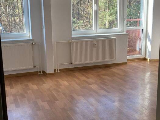 Studio zur Miete 210 € 1 Zimmer 30 m² 5. Geschoss Monckeshofer Straße 38 Monckeshof Neubrandenburg 17034