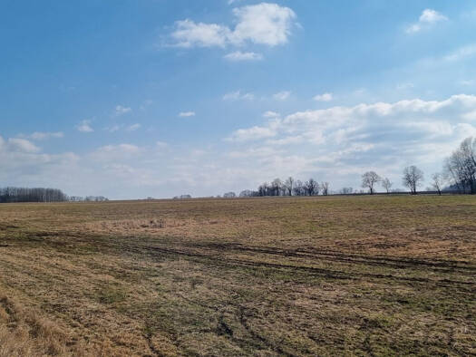 Land-/Forstwirtschaft zum Kauf 73 CZK Ctibor 34701