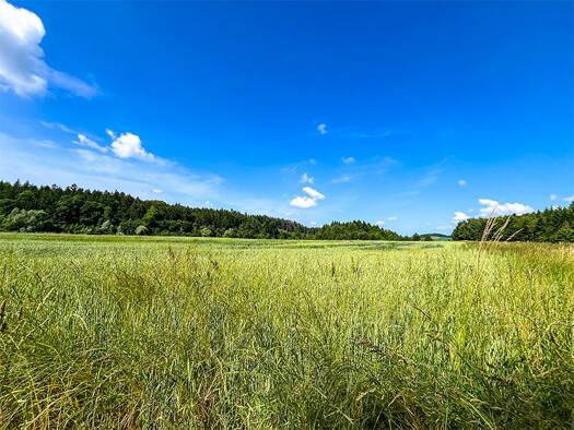 Landwirtschaftliche Fläche zum Kauf 900.000 € 39.772 m² Grundstück Grabenhof Wels 4600