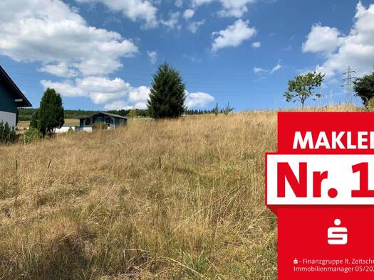 Grundstück zum Kauf 39.500 € 846 m² Grundstück frei ab sofort Schameder Erndtebrück 57339