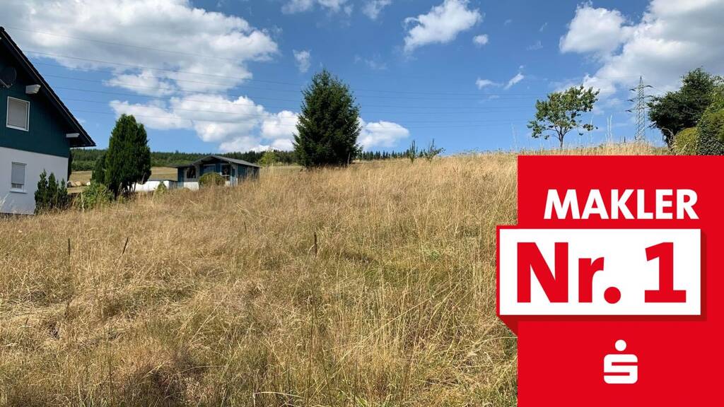 Grundstück zum Kauf 39.500 € 846 m² Grundstück frei ab sofort Schameder Erndtebrück 57339