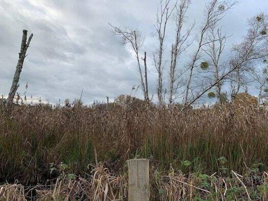 Freizeitgrundstück zum Kauf 39.900 € 19.850 m² Grundstück Wuthenow Neuruppin 16818